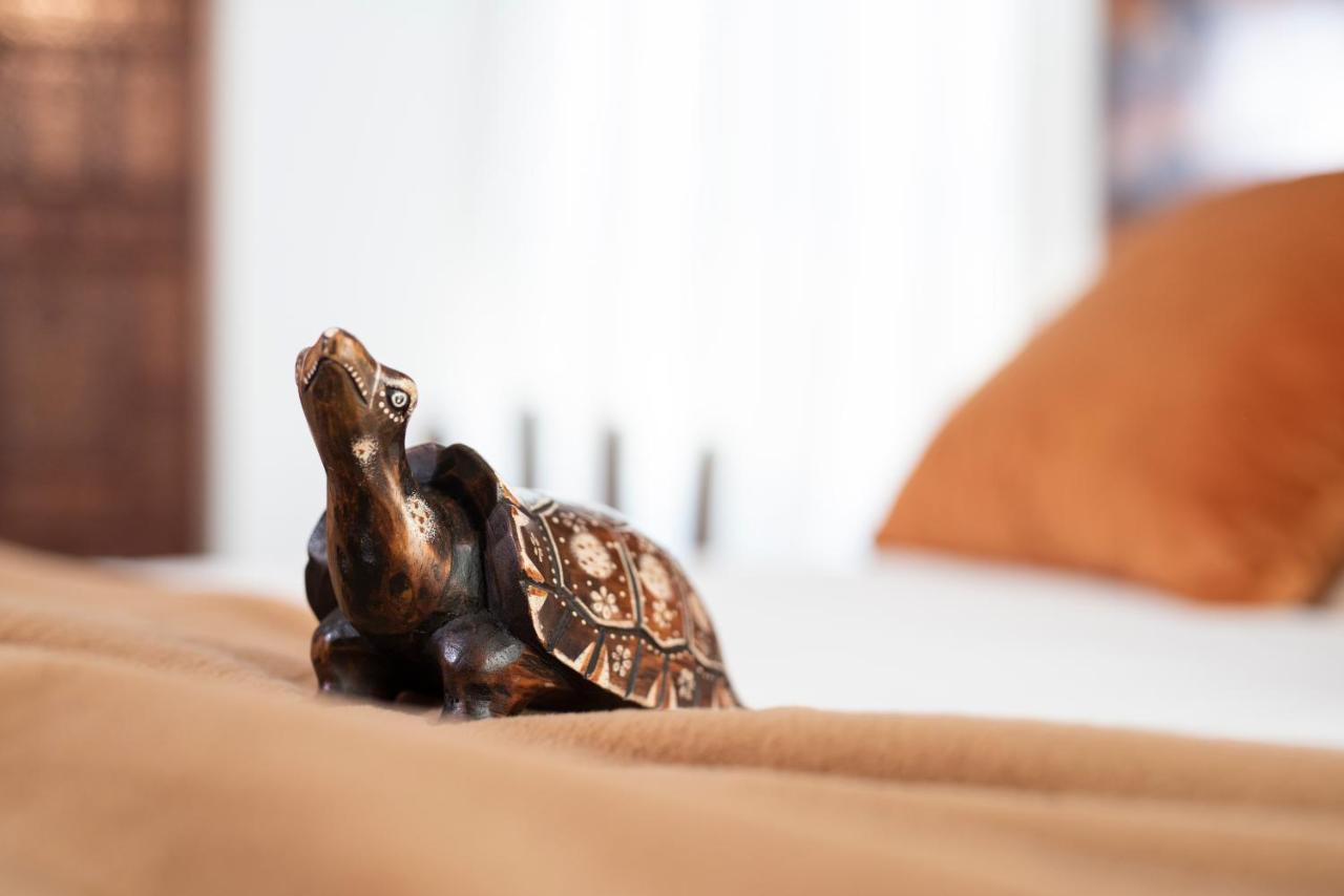 La Casa Delle Tartarughe Hotel Rom Eksteriør billede