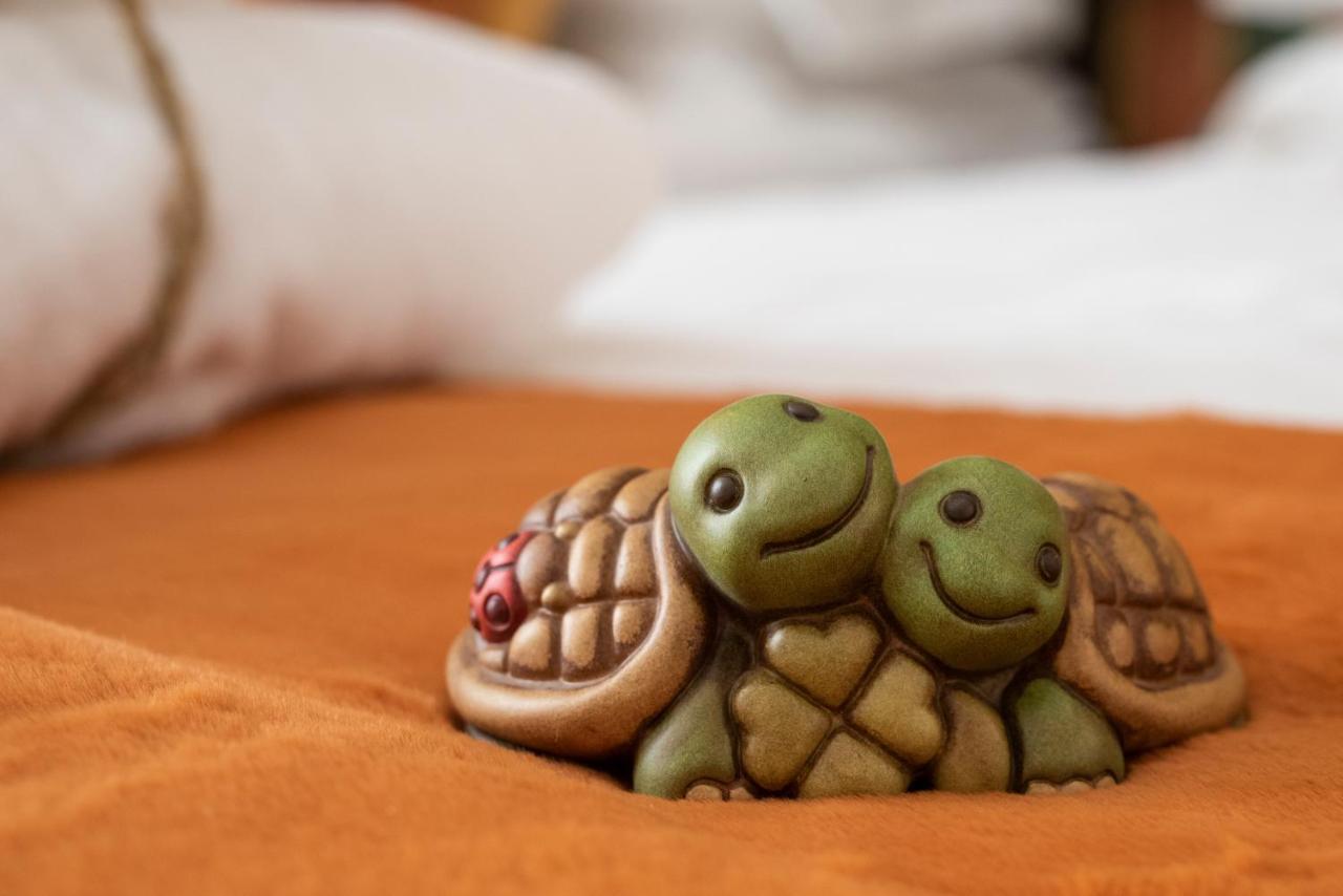 La Casa Delle Tartarughe Hotel Rom Eksteriør billede